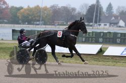 Dateiname=20251009_qu2_008_QU2_0032.jpg
Dateigröße=248KB
Abmessungen: 1000x667
hinzugefügt am: 09. Oktober 2025 20251009_qu2_008_QU2_0032.jpg