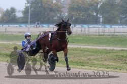 Dateiname=20251009_qu2_013_QU2_0058.jpg
Dateigröße=259KB
Abmessungen: 1000x667
hinzugefügt am: 09. Oktober 2025 20251009_qu2_013_QU2_0058.jpg