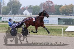 Dateiname=20251009_qu2_020_QU2_0085.jpg
Dateigröße=264KB
Abmessungen: 1000x667
hinzugefügt am: 09. Oktober 2025 20251009_qu2_020_QU2_0085.jpg