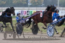 Dateiname=20251009_qu2_047_QU2_0204.jpg
Dateigröße=304KB
Abmessungen: 1000x667
hinzugefügt am: 09. Oktober 2025 20251009_qu2_047_QU2_0204.jpg