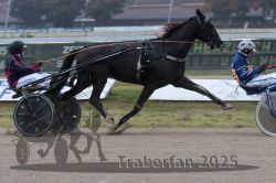 Dateiname=20251009_qu2_051_QU2_0227.jpg
Dateigröße=247KB
Abmessungen: 1000x667
hinzugefügt am: 09. Oktober 2025 20251009_qu2_051_QU2_0227.jpg