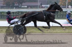 Dateiname=20251009_qu2_052_QU2_0231.jpg
Dateigröße=271KB
Abmessungen: 1000x667
hinzugefügt am: 09. Oktober 2025 20251009_qu2_052_QU2_0231.jpg