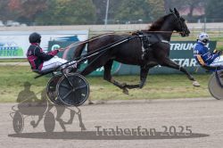 Dateiname=20251009_qu2_053_QU2_0238.jpg
Dateigröße=274KB
Abmessungen: 1000x667
hinzugefügt am: 09. Oktober 2025 20251009_qu2_053_QU2_0238.jpg