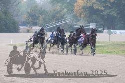 Dateiname=20251009_qu2_054_QU2_0244.jpg
Dateigröße=257KB
Abmessungen: 1000x667
hinzugefügt am: 09. Oktober 2025 20251009_qu2_054_QU2_0244.jpg