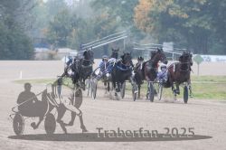 Dateiname=20251009_qu2_055_QU2_0247.jpg
Dateigröße=260KB
Abmessungen: 1000x667
hinzugefügt am: 09. Oktober 2025 20251009_qu2_055_QU2_0247.jpg