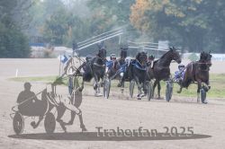 Dateiname=20251009_qu2_056_QU2_0251.jpg
Dateigröße=259KB
Abmessungen: 1000x667
hinzugefügt am: 09. Oktober 2025 20251009_qu2_056_QU2_0251.jpg