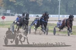 Dateiname=20251009_qu2_058_QU2_0257.jpg
Dateigröße=262KB
Abmessungen: 1000x667
hinzugefügt am: 09. Oktober 2025 20251009_qu2_058_QU2_0257.jpg