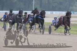 Dateiname=20251009_qu2_060_QU2_0264.jpg
Dateigröße=267KB
Abmessungen: 1000x667
hinzugefügt am: 09. Oktober 2025 20251009_qu2_060_QU2_0264.jpg