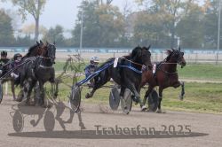 Dateiname=20251009_qu2_063_QU2_0274.jpg
Dateigröße=285KB
Abmessungen: 1000x667
hinzugefügt am: 09. Oktober 2025 20251009_qu2_063_QU2_0274.jpg