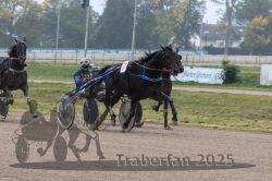 Dateiname=20251009_qu2_065_QU2_0283.jpg
Dateigröße=293KB
Abmessungen: 1000x667
hinzugefügt am: 09. Oktober 2025 20251009_qu2_065_QU2_0283.jpg