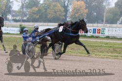 Dateiname=20251009_qu2_067_QU2_0290.jpg
Dateigröße=286KB
Abmessungen: 1000x667
hinzugefügt am: 09. Oktober 2025 20251009_qu2_067_QU2_0290.jpg