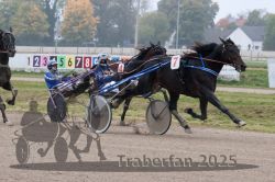 Dateiname=20251009_qu2_069_QU2_0294.jpg
Dateigröße=305KB
Abmessungen: 1000x667
hinzugefügt am: 09. Oktober 2025 20251009_qu2_069_QU2_0294.jpg