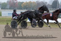 Dateiname=20251009_qu2_070_QU2_0297.jpg
Dateigröße=276KB
Abmessungen: 1000x667
hinzugefügt am: 09. Oktober 2025 20251009_qu2_070_QU2_0297.jpg