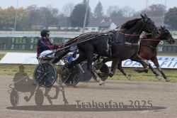 Dateiname=20251009_qu2_071_QU2_0300.jpg
Dateigröße=260KB
Abmessungen: 1000x667
hinzugefügt am: 09. Oktober 2025 20251009_qu2_071_QU2_0300.jpg