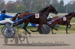 Dateiname=20251009_qu2_075_QU2_0311.jpg
Dateigröße=278KB
Abmessungen: 1000x667
hinzugefügt am: 09. Oktober 2025 20251009_qu2_075_QU2_0311.jpg