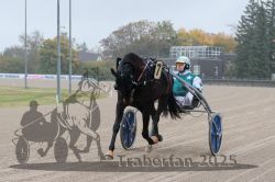 Dateiname=20251009_r01_012_R01_0051.jpg
Dateigröße=264KB
Abmessungen: 1000x667
hinzugefügt am: 09. Oktober 2025 20251009_r01_012_R01_0051.jpg