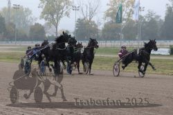 Dateiname=20251009_r01_039_R01_0157.jpg
Dateigröße=289KB
Abmessungen: 1000x667
hinzugefügt am: 09. Oktober 2025 20251009_r01_039_R01_0157.jpg