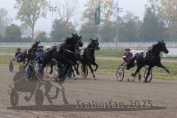 Dateiname=20251009_r01_040_R01_0160.jpg
Dateigröße=293KB
Abmessungen: 1000x667
hinzugefügt am: 09. Oktober 2025 20251009_r01_040_R01_0160.jpg