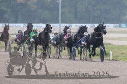 Dateiname=20251009_r01_050_R01_0204.jpg
Dateigröße=272KB
Abmessungen: 1000x667
hinzugefügt am: 09. Oktober 2025 20251009_r01_050_R01_0204.jpg