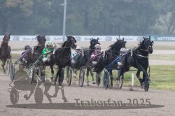 Dateiname=20251009_r01_051_R01_0208.jpg
Dateigröße=265KB
Abmessungen: 1000x667
hinzugefügt am: 09. Oktober 2025 20251009_r01_051_R01_0208.jpg