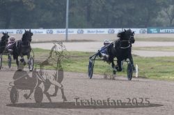 Dateiname=20251009_r01_069_R01_0287.jpg
Dateigröße=246KB
Abmessungen: 1000x667
hinzugefügt am: 09. Oktober 2025 20251009_r01_069_R01_0287.jpg