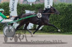 Dateiname=20251009_r01_077_R01_0314.jpg
Dateigröße=291KB
Abmessungen: 1000x667
hinzugefügt am: 09. Oktober 2025 20251009_r01_077_R01_0314.jpg