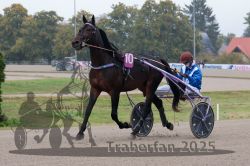 Dateiname=20251009_r02_001_R02_0006.jpg
Dateigröße=302KB
Abmessungen: 1000x667
hinzugefügt am: 09. Oktober 2025 20251009_r02_001_R02_0006.jpg