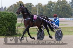 Dateiname=20251009_r02_002_R02_0010.jpg
Dateigröße=315KB
Abmessungen: 1000x667
hinzugefügt am: 09. Oktober 2025 20251009_r02_002_R02_0010.jpg