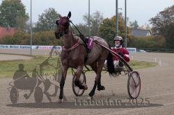 Dateiname=20251009_r02_003_R02_0011.jpg
Dateigröße=275KB
Abmessungen: 1000x667
hinzugefügt am: 09. Oktober 2025 20251009_r02_003_R02_0011.jpg