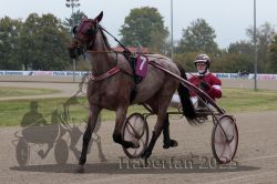 Dateiname=20251009_r02_004_R02_0019.jpg
Dateigröße=290KB
Abmessungen: 1000x667
hinzugefügt am: 09. Oktober 2025 20251009_r02_004_R02_0019.jpg