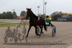 Dateiname=20251009_r02_007_R02_0033.jpg
Dateigröße=277KB
Abmessungen: 1000x667
hinzugefügt am: 09. Oktober 2025 20251009_r02_007_R02_0033.jpg