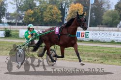 Dateiname=20251009_r02_009_R02_0040.jpg
Dateigröße=306KB
Abmessungen: 1000x667
hinzugefügt am: 09. Oktober 2025 20251009_r02_009_R02_0040.jpg