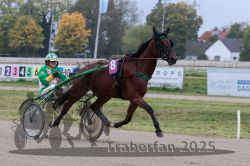 Dateiname=20251009_r02_010_R02_0043.jpg
Dateigröße=281KB
Abmessungen: 1000x667
hinzugefügt am: 09. Oktober 2025 20251009_r02_010_R02_0043.jpg