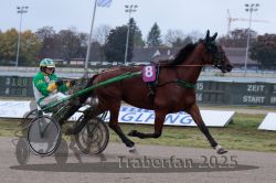 Dateiname=20251009_r02_013_R02_0055.jpg
Dateigröße=263KB
Abmessungen: 1000x667
hinzugefügt am: 09. Oktober 2025 20251009_r02_013_R02_0055.jpg