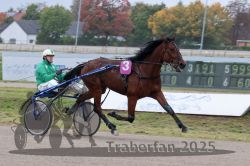 Dateiname=20251009_r02_015_R02_0062.jpg
Dateigröße=275KB
Abmessungen: 1000x667
hinzugefügt am: 09. Oktober 2025 20251009_r02_015_R02_0062.jpg