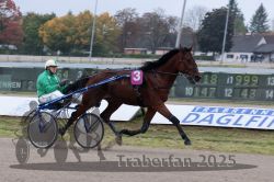 Dateiname=20251009_r02_016_R02_0065.jpg
Dateigröße=278KB
Abmessungen: 1000x667
hinzugefügt am: 09. Oktober 2025 20251009_r02_016_R02_0065.jpg