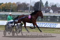 Dateiname=20251009_r02_017_R02_0066.jpg
Dateigröße=274KB
Abmessungen: 1000x667
hinzugefügt am: 09. Oktober 2025 20251009_r02_017_R02_0066.jpg