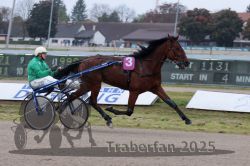 Dateiname=20251009_r02_018_R02_0069.jpg
Dateigröße=268KB
Abmessungen: 1000x667
hinzugefügt am: 09. Oktober 2025 20251009_r02_018_R02_0069.jpg