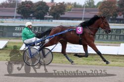 Dateiname=20251009_r02_019_R02_0073.jpg
Dateigröße=272KB
Abmessungen: 1000x667
hinzugefügt am: 09. Oktober 2025 20251009_r02_019_R02_0073.jpg