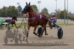 Dateiname=20251009_r02_020_R02_0078.jpg
Dateigröße=283KB
Abmessungen: 1000x667
hinzugefügt am: 09. Oktober 2025 20251009_r02_020_R02_0078.jpg