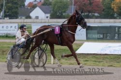 Dateiname=20251009_r02_022_R02_0087.jpg
Dateigröße=264KB
Abmessungen: 1000x667
hinzugefügt am: 09. Oktober 2025 20251009_r02_022_R02_0087.jpg