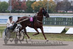 Dateiname=20251009_r02_023_R02_0091.jpg
Dateigröße=290KB
Abmessungen: 1000x667
hinzugefügt am: 09. Oktober 2025 20251009_r02_023_R02_0091.jpg