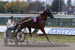 Dateiname=20251009_r02_024_R02_0095.jpg
Dateigröße=296KB
Abmessungen: 1000x667
hinzugefügt am: 09. Oktober 2025 20251009_r02_024_R02_0095.jpg