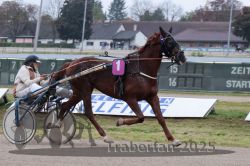 Dateiname=20251009_r02_025_R02_0099.jpg
Dateigröße=286KB
Abmessungen: 1000x667
hinzugefügt am: 09. Oktober 2025 20251009_r02_025_R02_0099.jpg