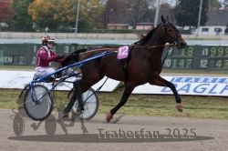 Dateiname=20251009_r02_027_R02_0105.jpg
Dateigröße=273KB
Abmessungen: 1000x667
hinzugefügt am: 09. Oktober 2025 20251009_r02_027_R02_0105.jpg