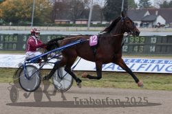 Dateiname=20251009_r02_028_R02_0106.jpg
Dateigröße=276KB
Abmessungen: 1000x667
hinzugefügt am: 09. Oktober 2025 20251009_r02_028_R02_0106.jpg