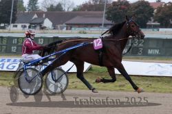 Dateiname=20251009_r02_029_R02_0110.jpg
Dateigröße=270KB
Abmessungen: 1000x667
hinzugefügt am: 09. Oktober 2025 20251009_r02_029_R02_0110.jpg