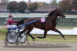 Dateiname=20251009_r02_030_R02_0113.jpg
Dateigröße=271KB
Abmessungen: 1000x667
hinzugefügt am: 09. Oktober 2025 20251009_r02_030_R02_0113.jpg