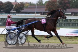 Dateiname=20251009_r02_031_R02_0114.jpg
Dateigröße=268KB
Abmessungen: 1000x667
hinzugefügt am: 09. Oktober 2025 20251009_r02_031_R02_0114.jpg