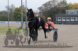 Dateiname=20251009_r02_032_R02_0119.jpg
Dateigröße=290KB
Abmessungen: 1000x667
hinzugefügt am: 09. Oktober 2025 20251009_r02_032_R02_0119.jpg